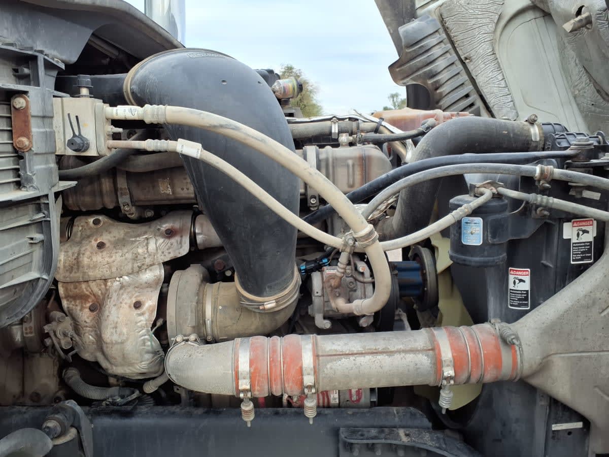 2019 Freightliner/Mercedes CASCADIA 125 865066