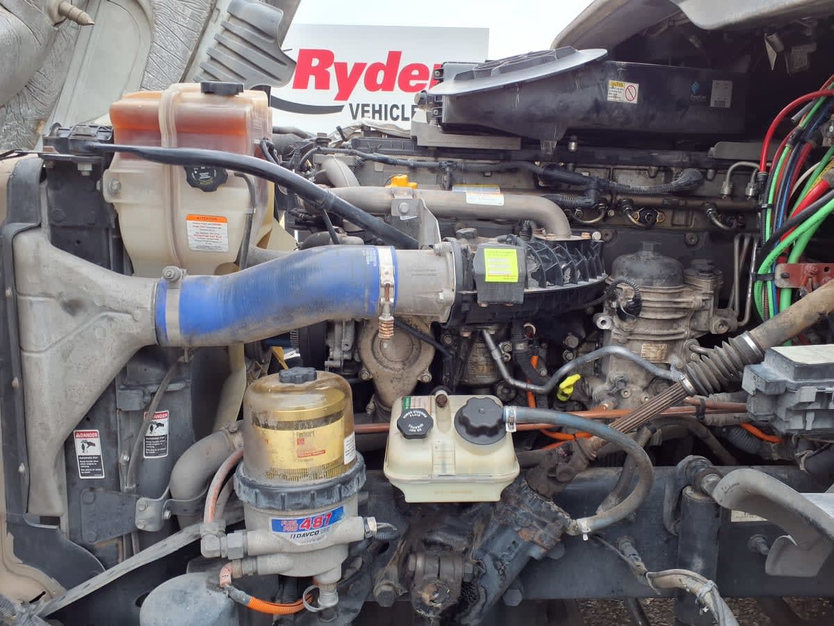 2019 Freightliner/Mercedes CASCADIA 125 865066