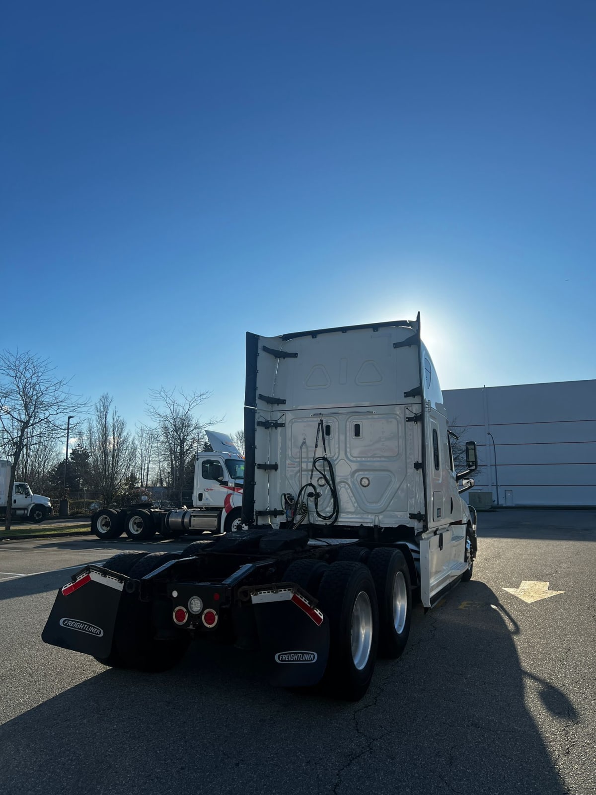 2019 Freightliner/Mercedes NEW CASCADIA PX12664 865199