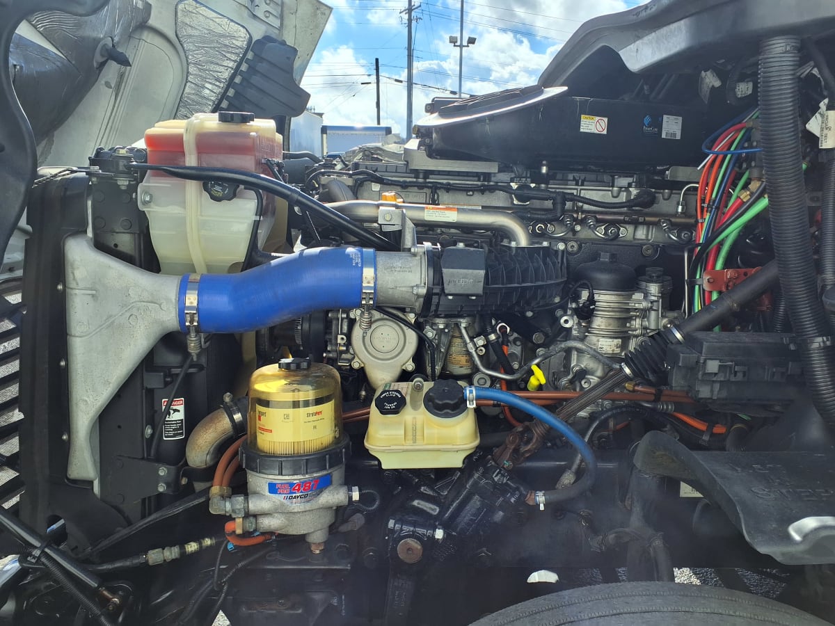 2019 Freightliner/Mercedes CASCADIA 125 865228