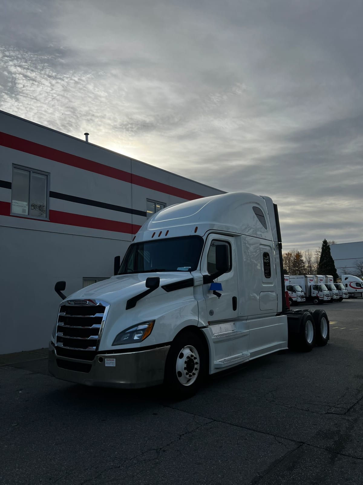 2019 Freightliner/Mercedes NEW CASCADIA PX12664 865255