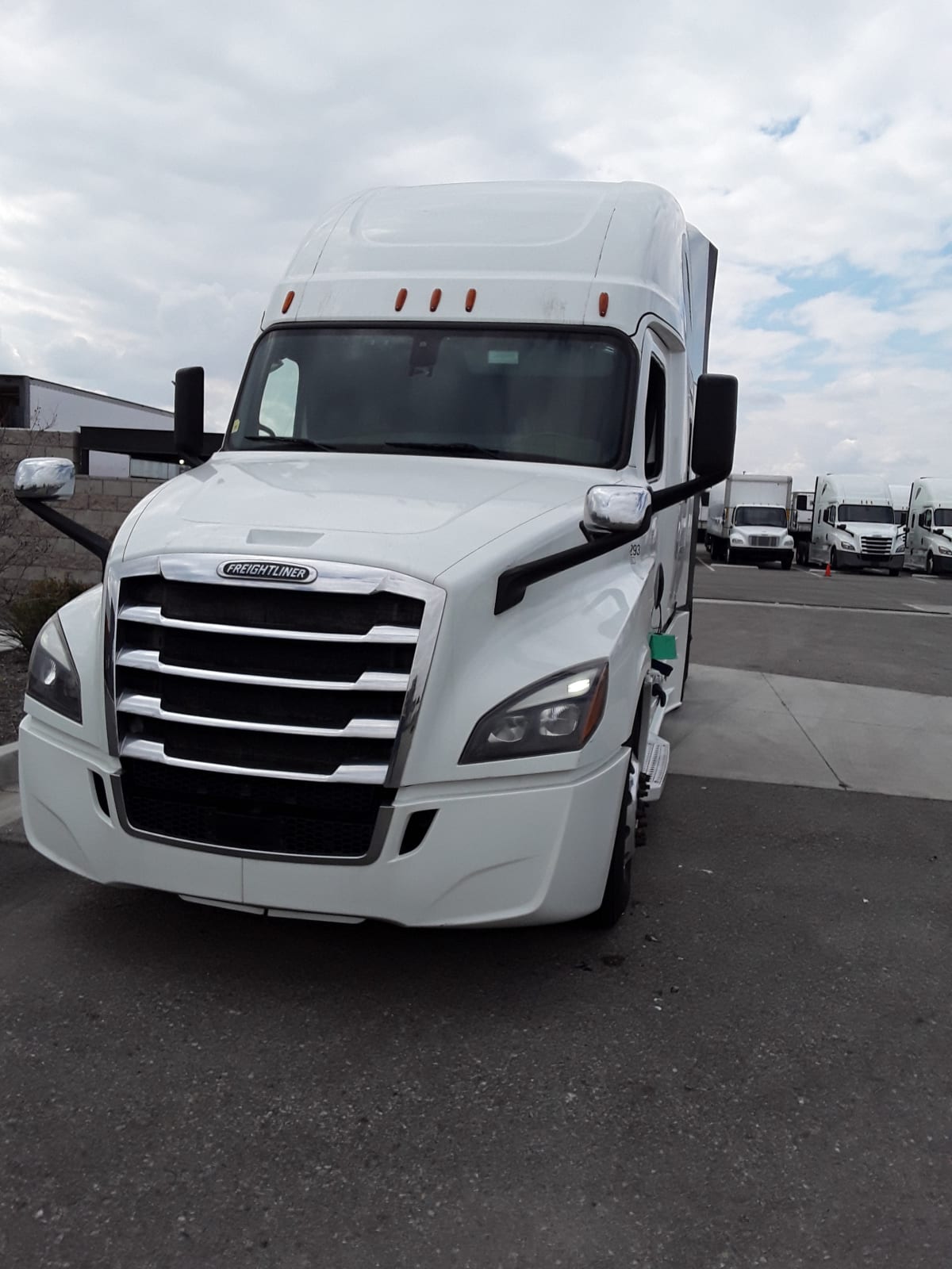 2019 Freightliner/Mercedes NEW CASCADIA PX12664 865293