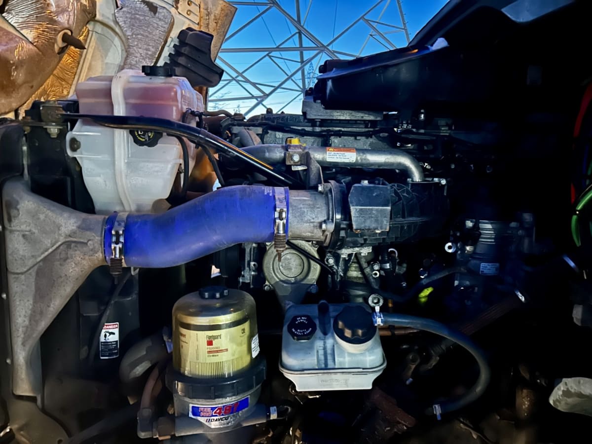 2019 Freightliner/Mercedes CASCADIA 125 866028