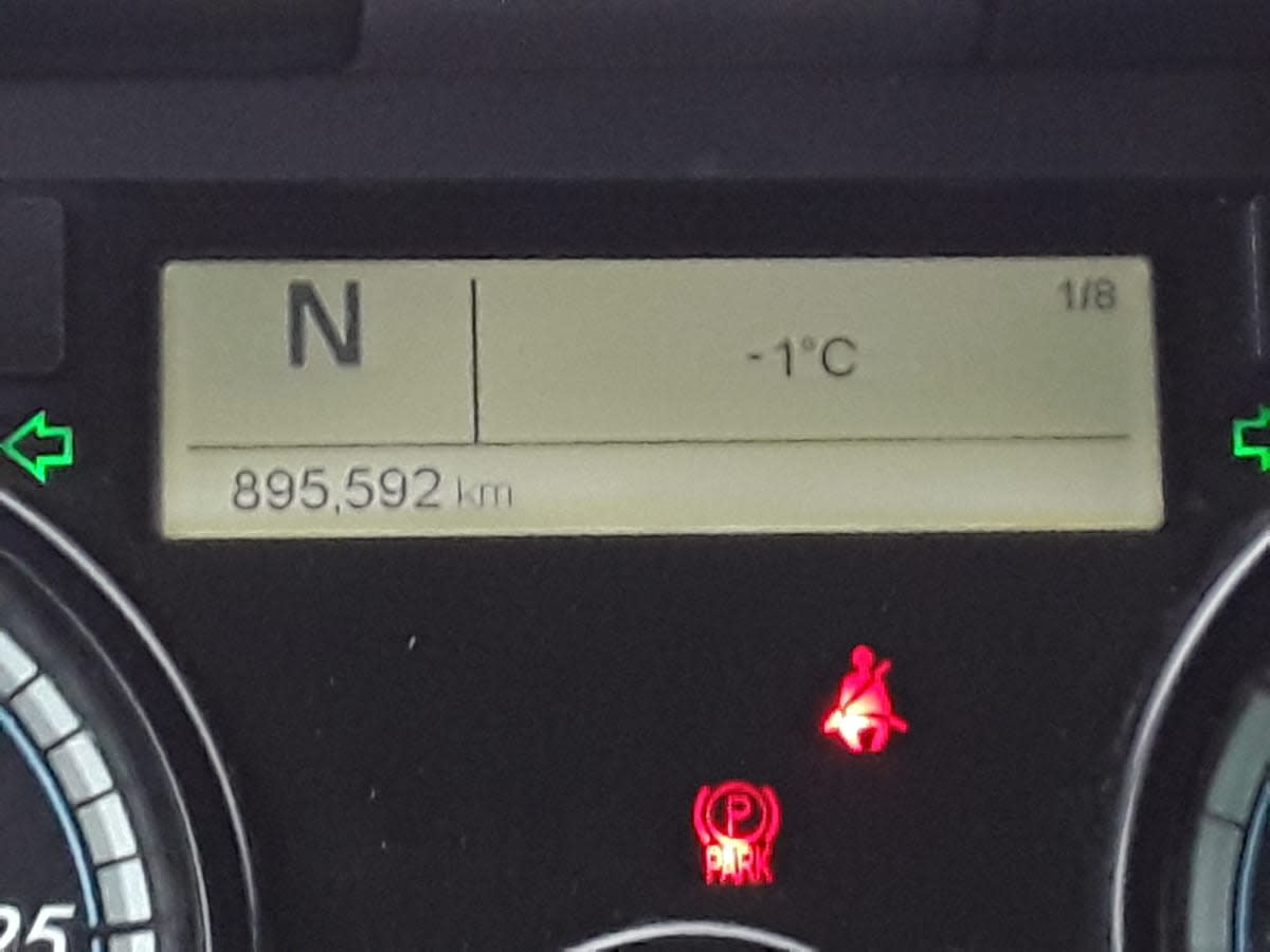 2019 Freightliner/Mercedes CASCADIA 125 866029