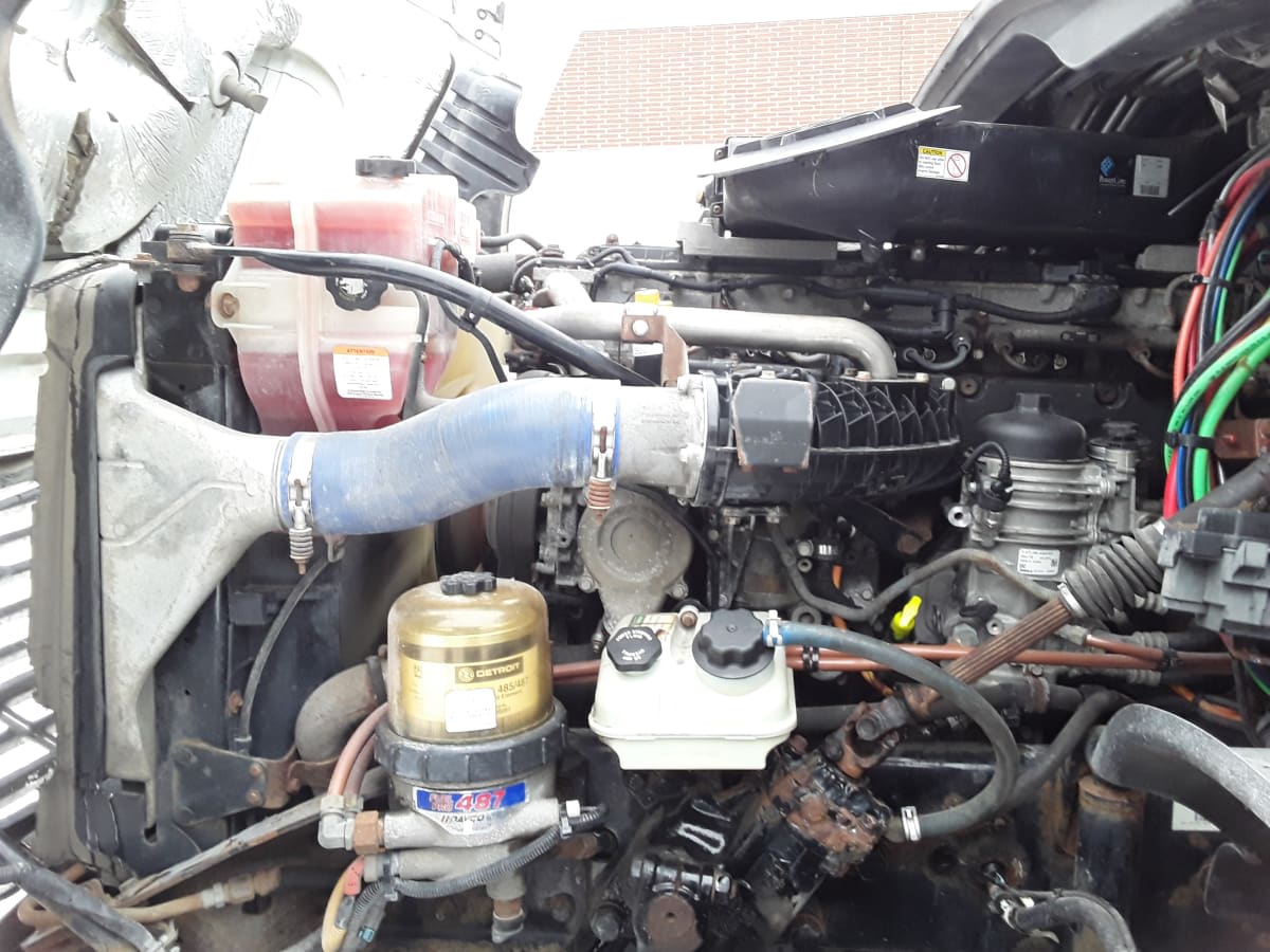 2019 Freightliner/Mercedes CASCADIA 125 866029