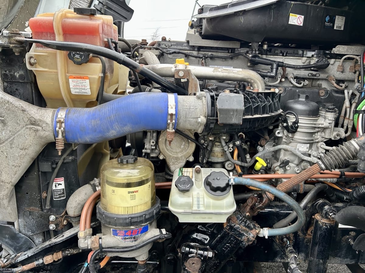 2019 Freightliner/Mercedes CASCADIA 125 866030