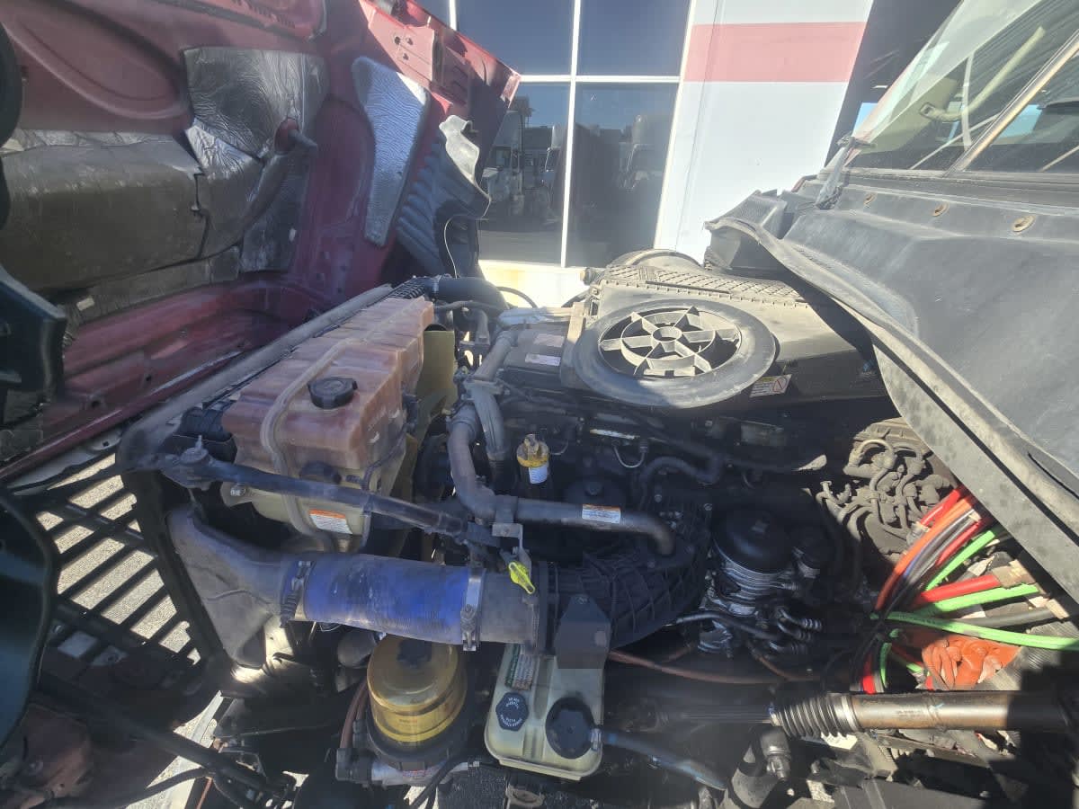 2019 Freightliner - image 8