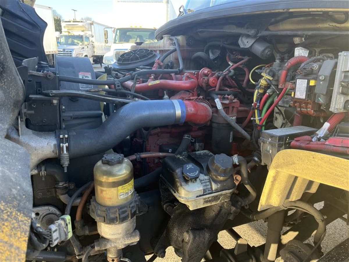 2019 Freightliner/Mercedes M2 106 866103