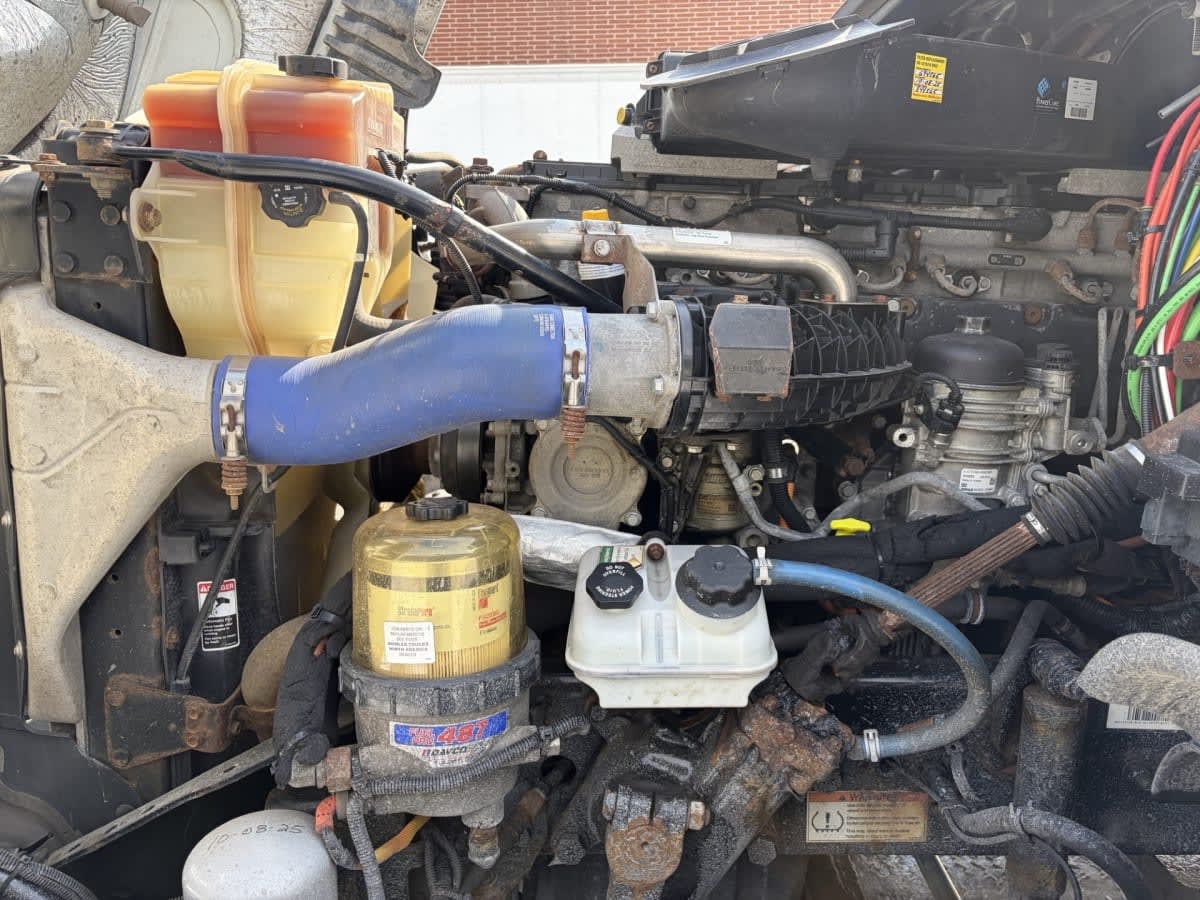 2019 Freightliner/Mercedes CASCADIA 125 866163