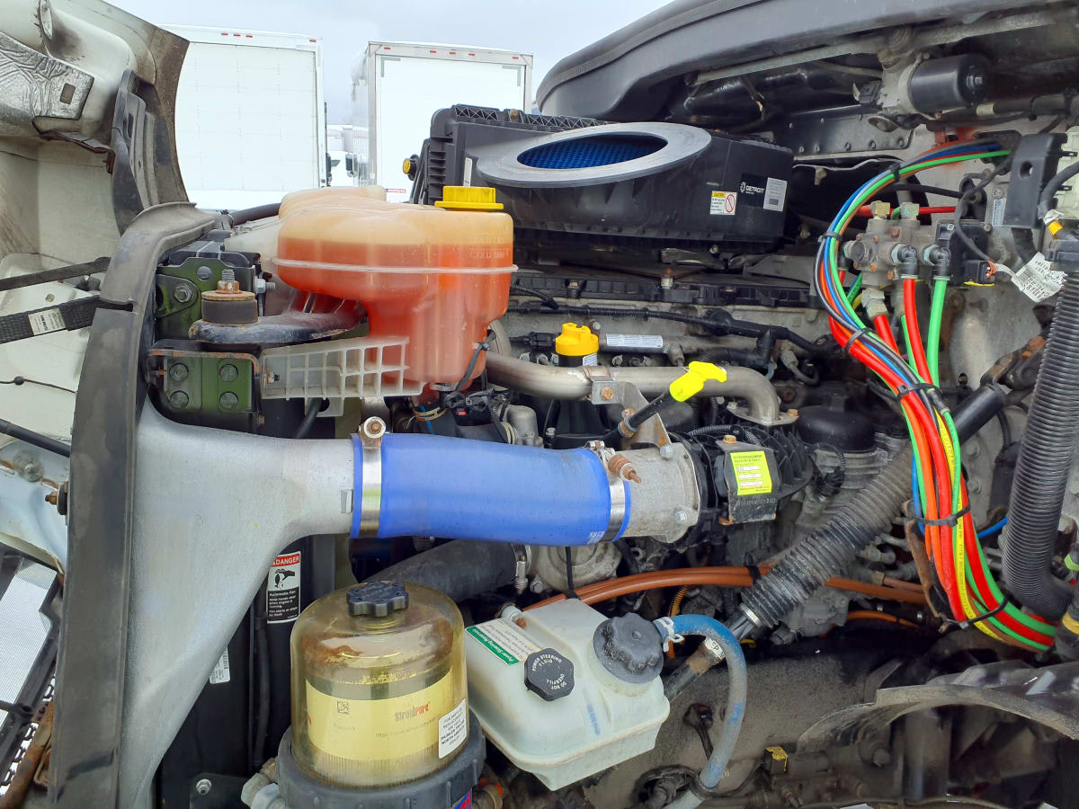 2019 Freightliner/Mercedes NEW CASCADIA 116 866285