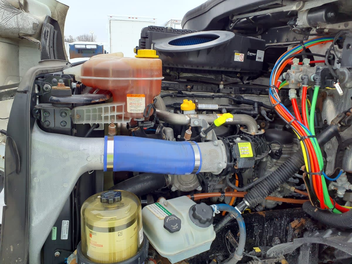 2019 Freightliner/Mercedes NEW CASCADIA 116 866286