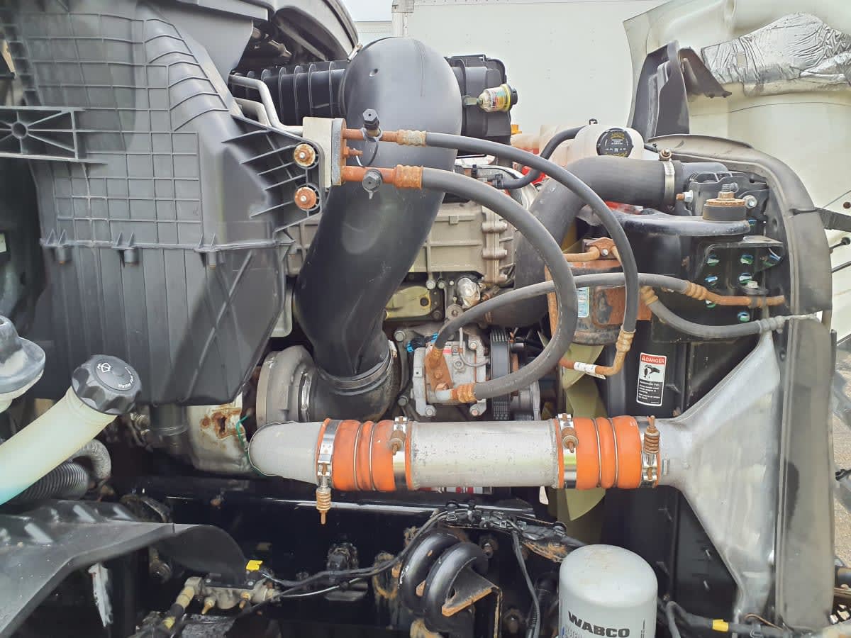 2019 Freightliner/Mercedes NEW CASCADIA 116 866287