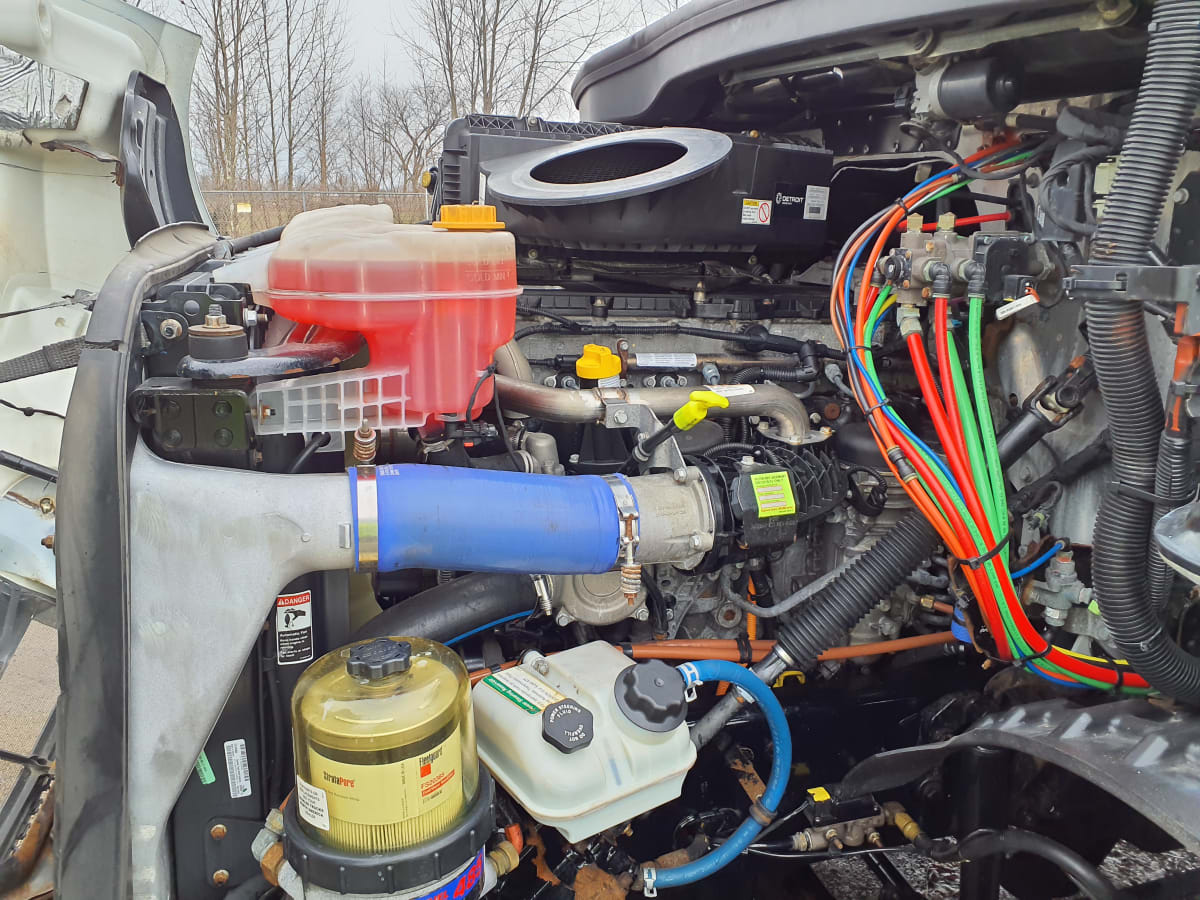 2019 Freightliner/Mercedes NEW CASCADIA 116 866287