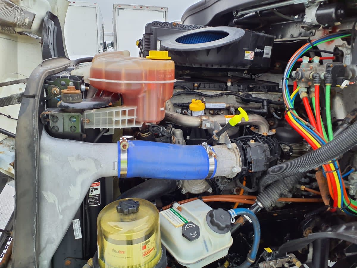 2019 Freightliner/Mercedes NEW CASCADIA 116 866289