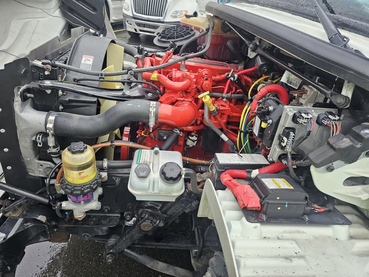 2019 Freightliner/Mercedes M2 106 866464