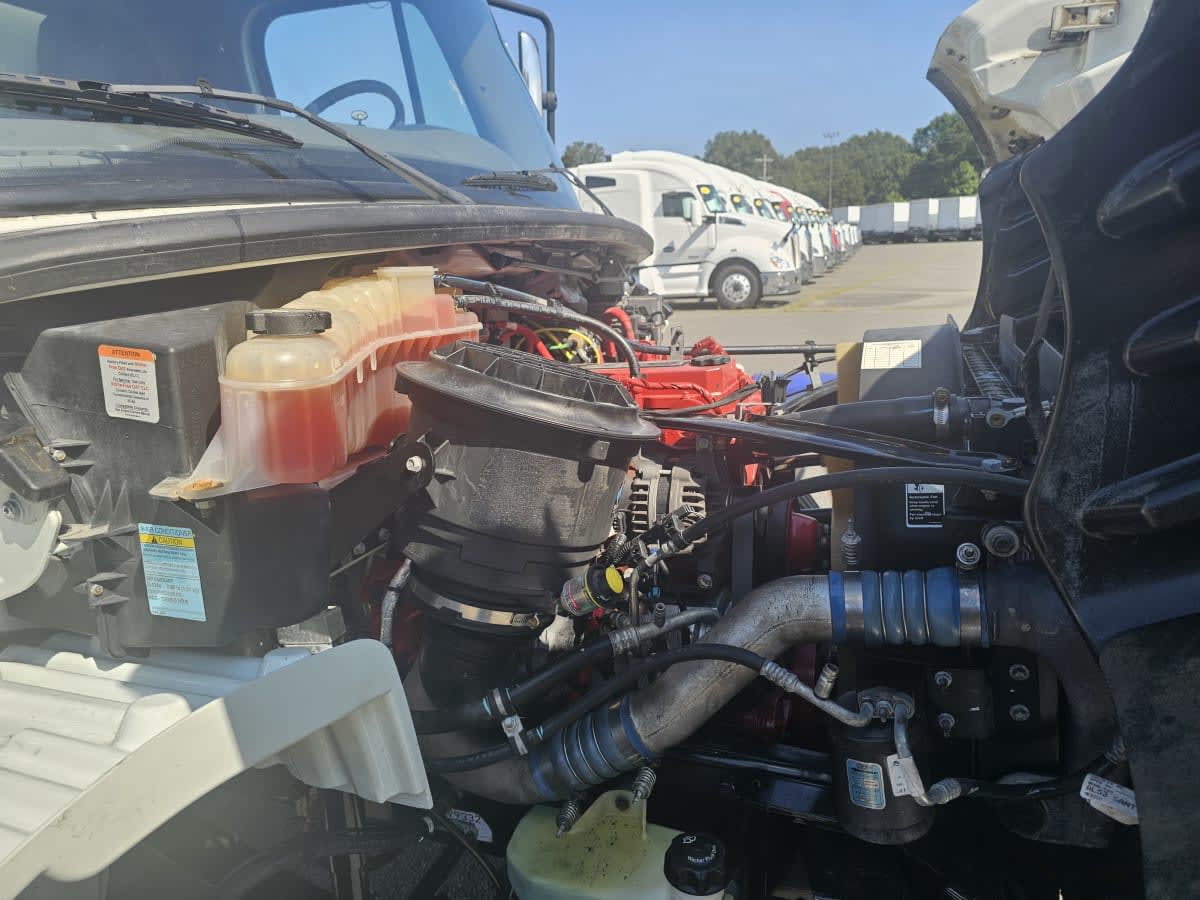 2019 Freightliner/Mercedes M2 106 866531