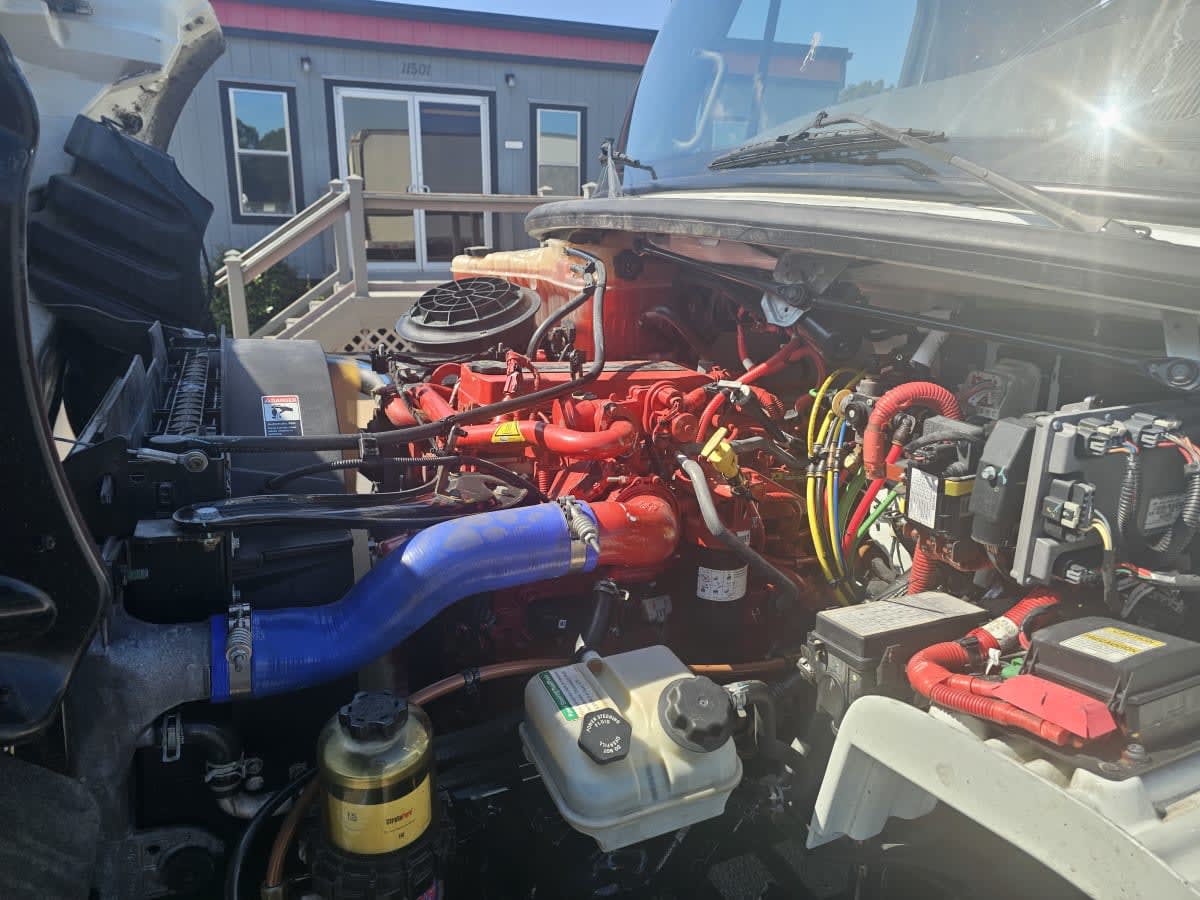2019 Freightliner/Mercedes M2 106 866531