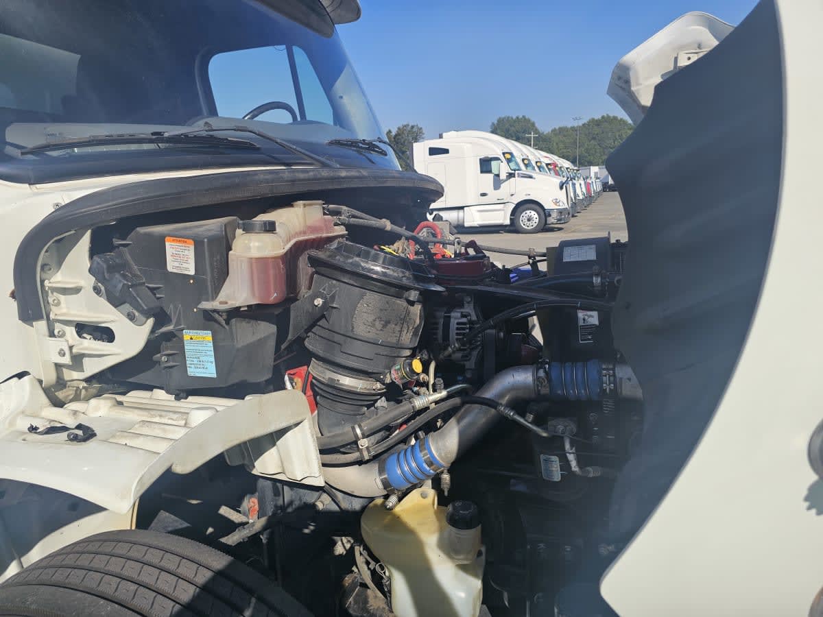 2019 Freightliner/Mercedes M2 106 866534