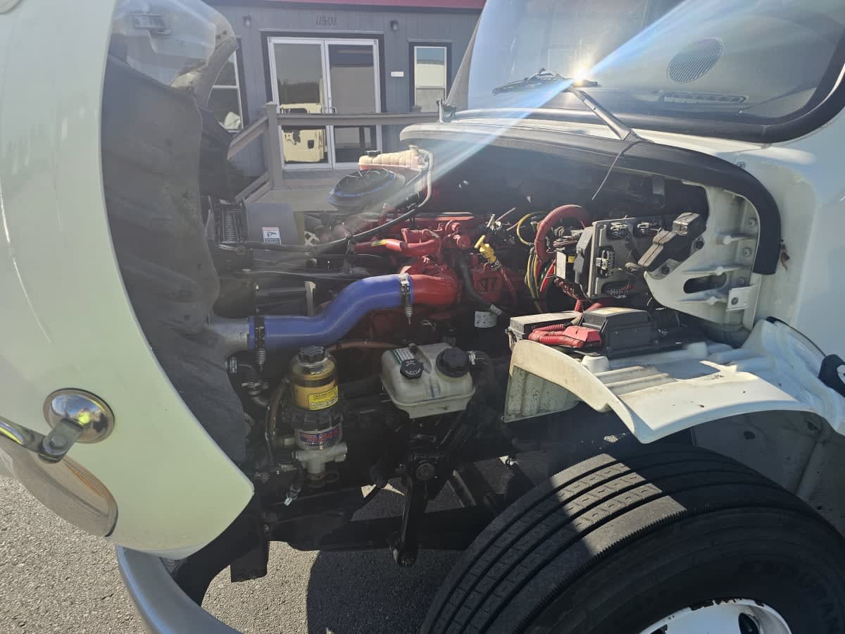 2019 Freightliner/Mercedes M2 106 866534