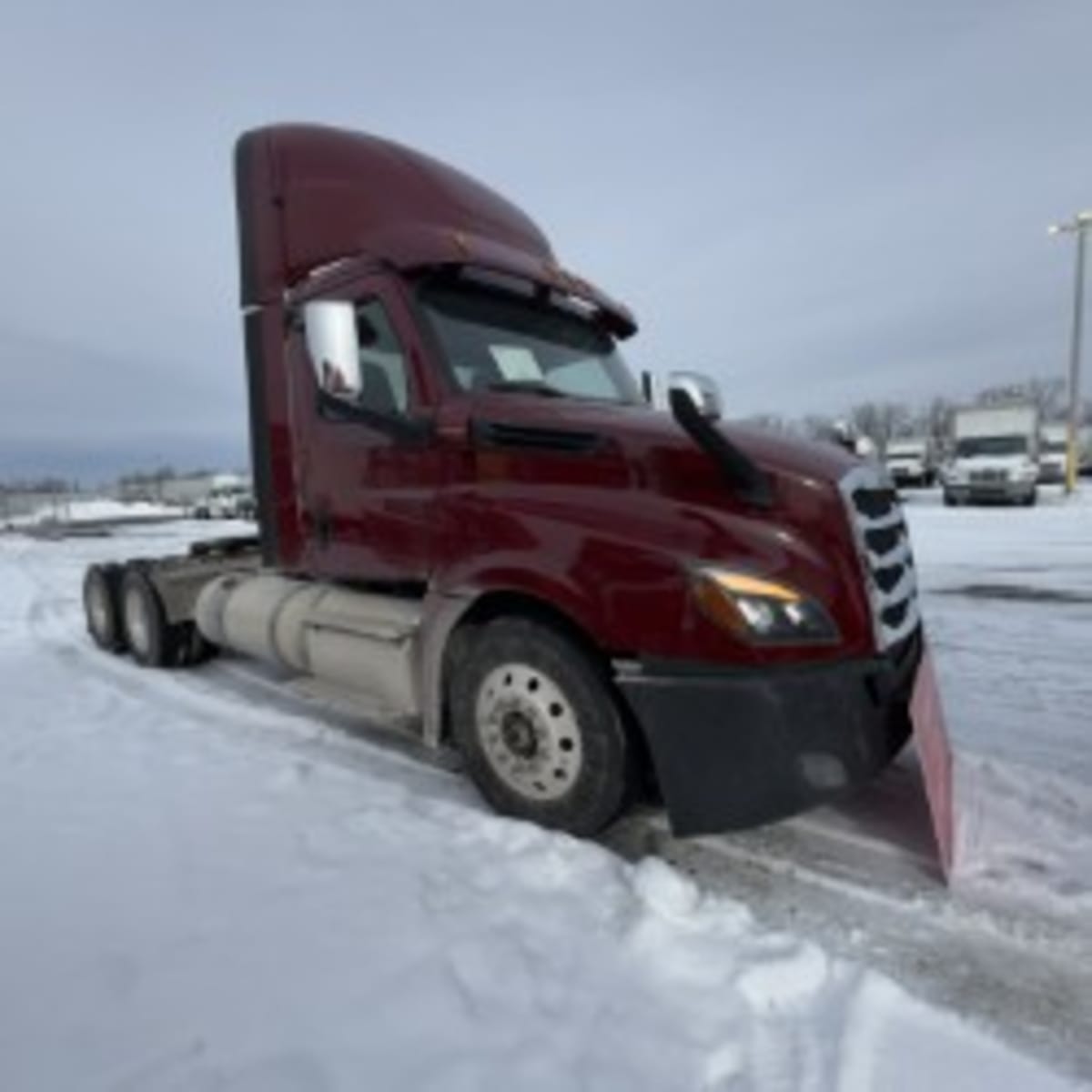 2019 Freightliner - image 2
