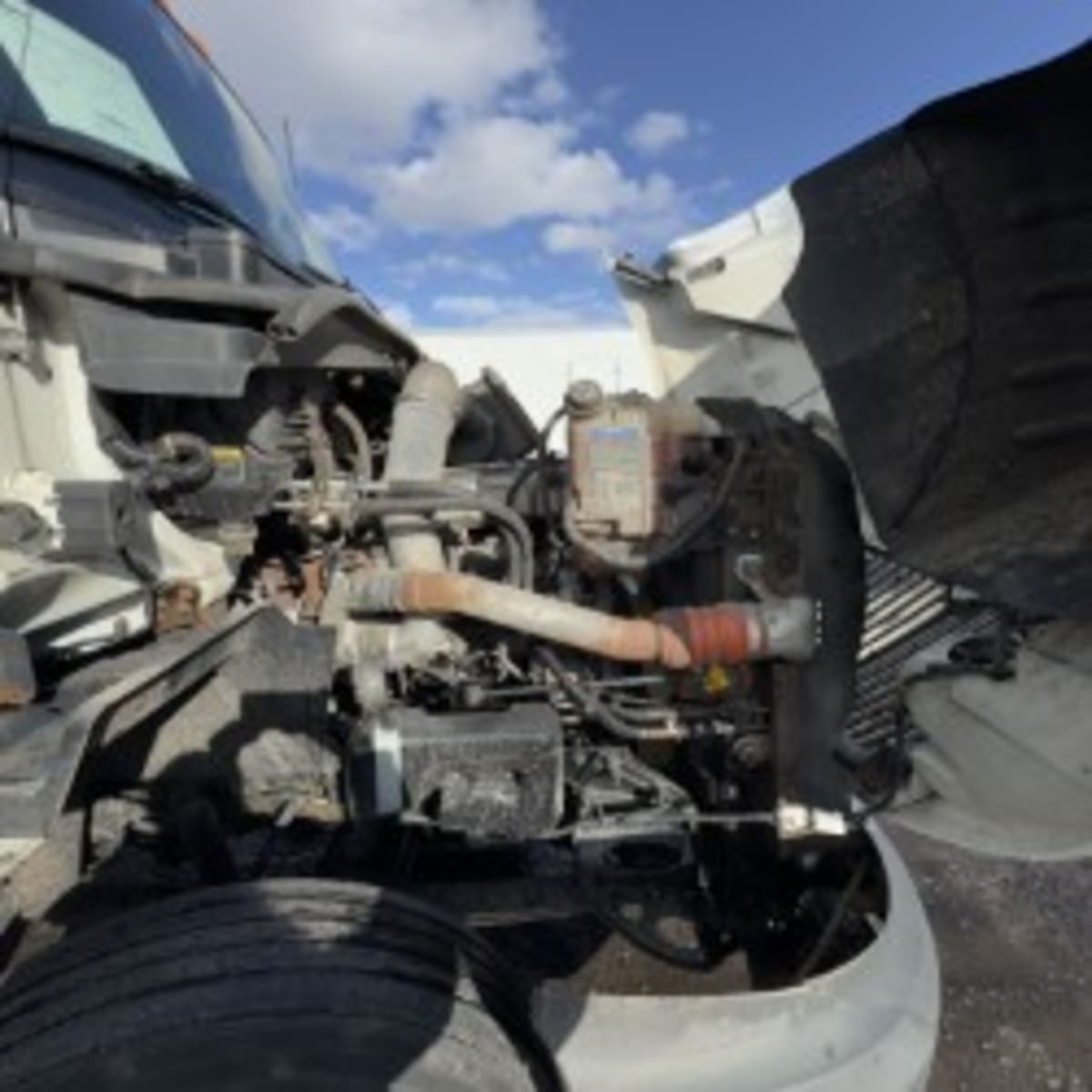 2019 International - image 9