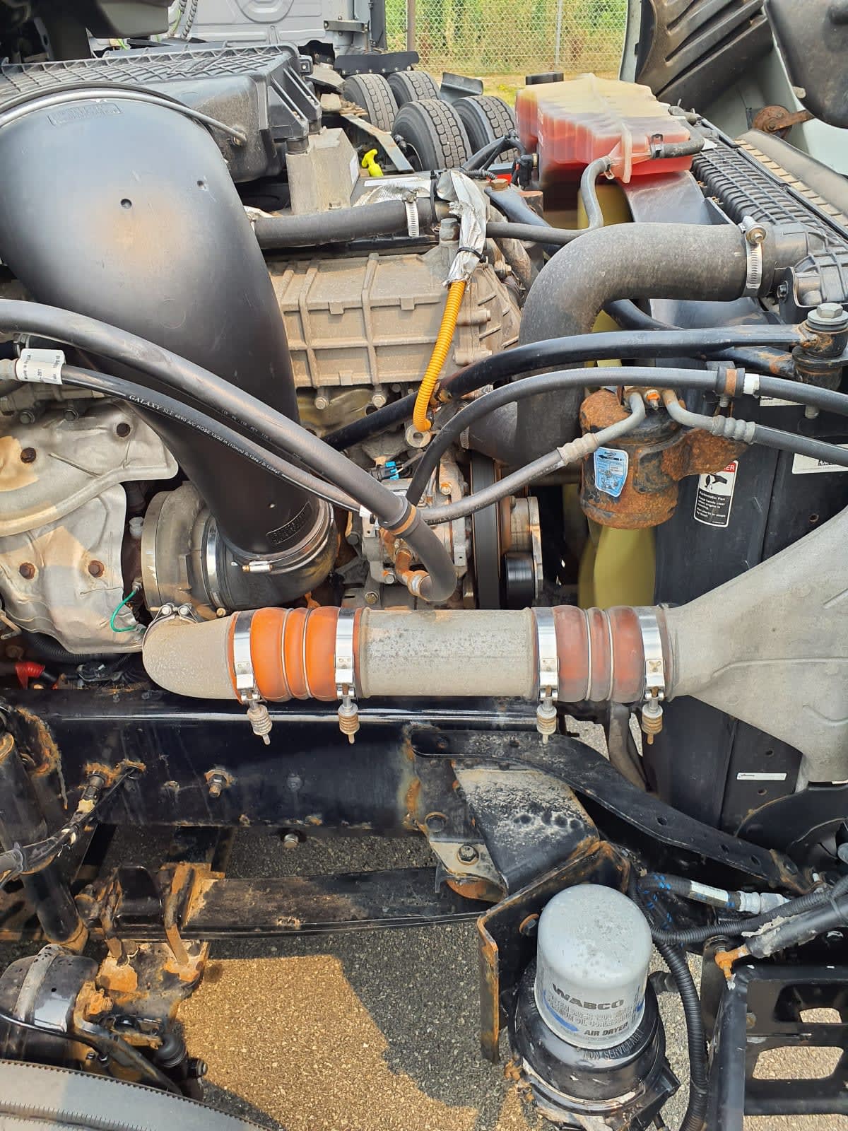 2019 Freightliner/Mercedes CASCADIA 125 866648