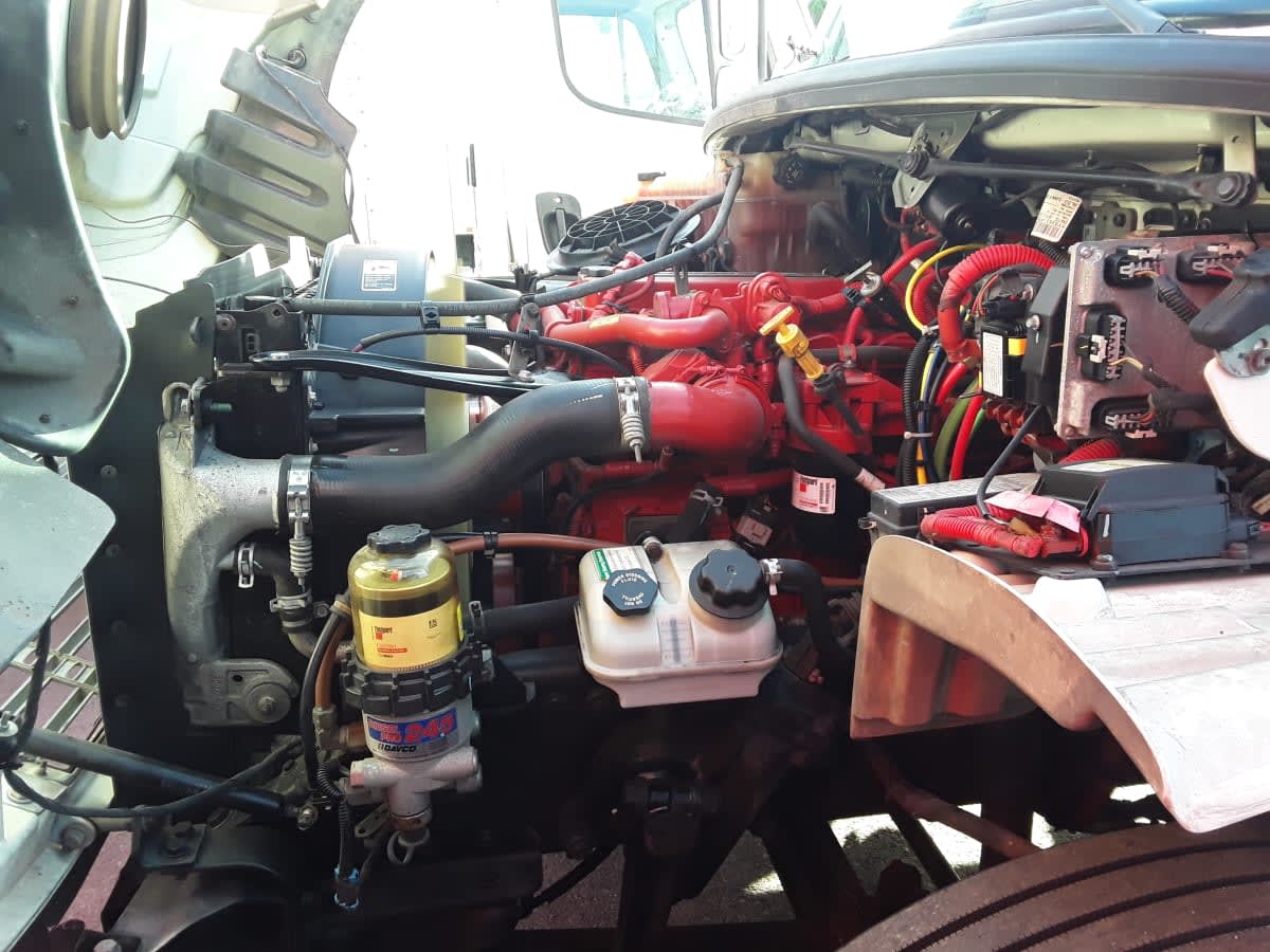 2019 Freightliner/Mercedes M2 106 866745