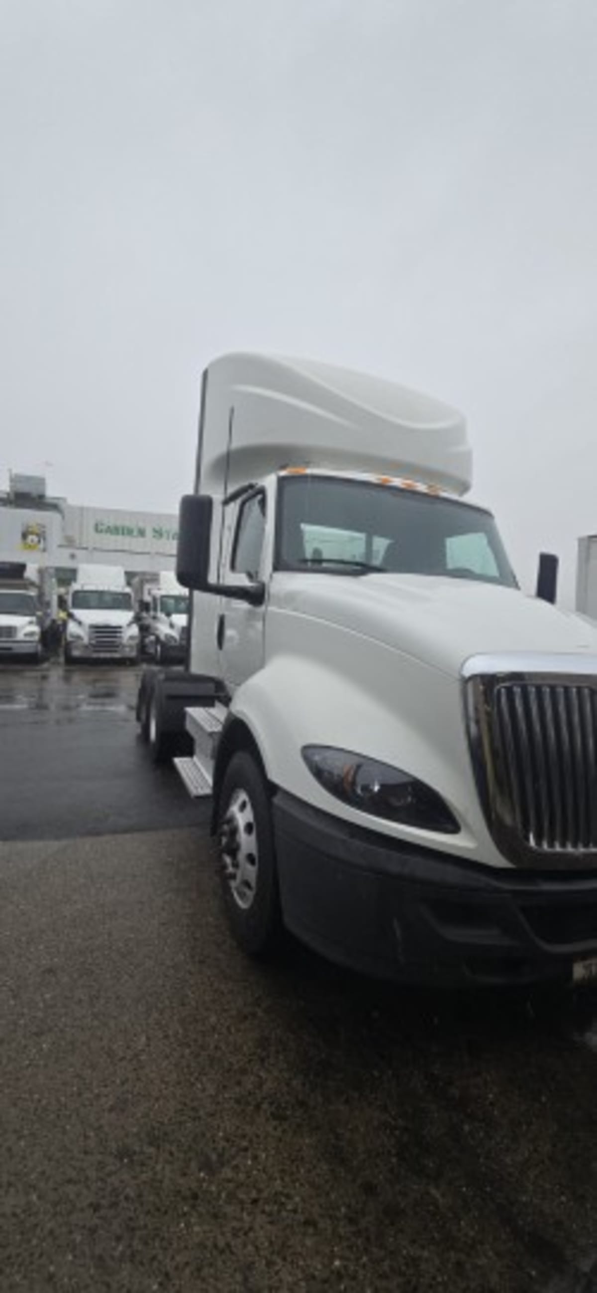 2019 International - image 3