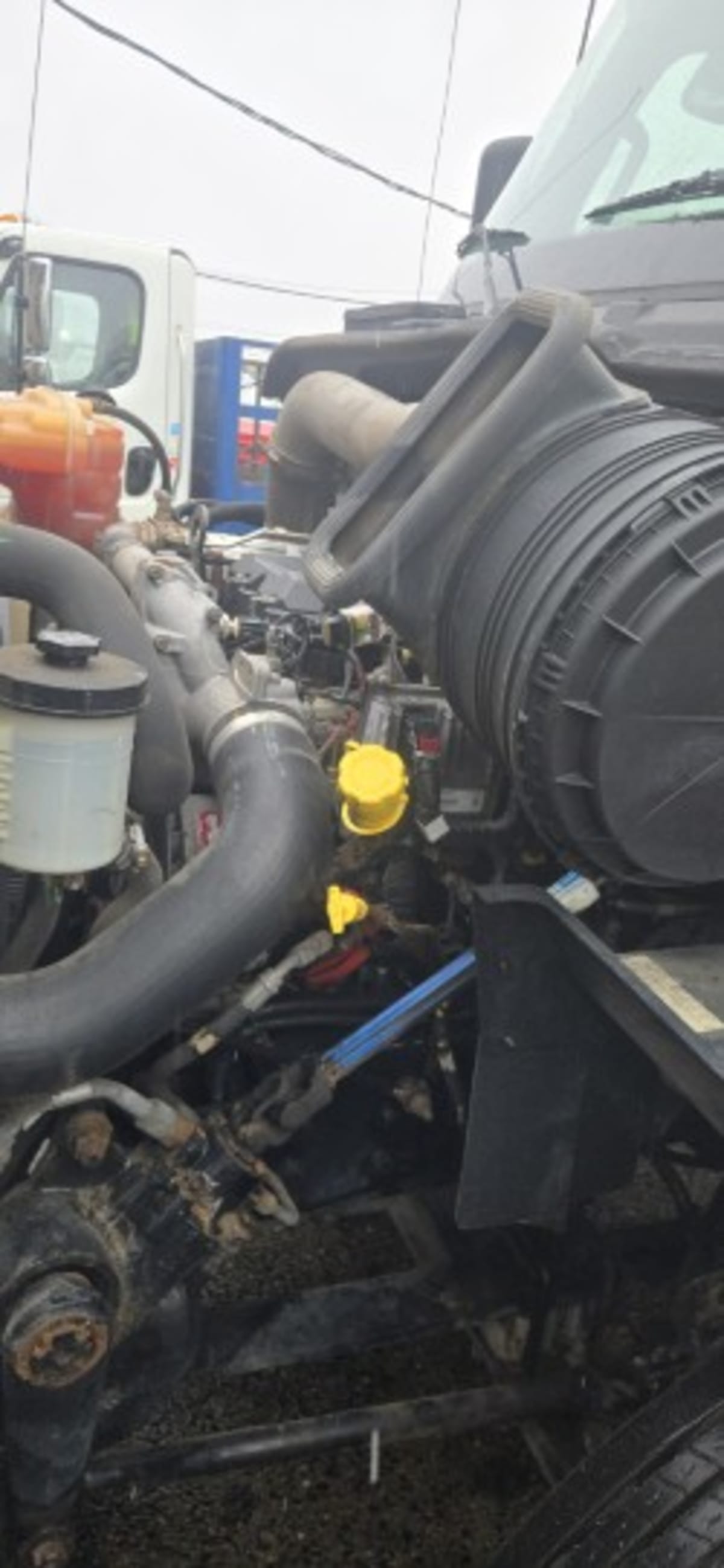 2019 International - image 8