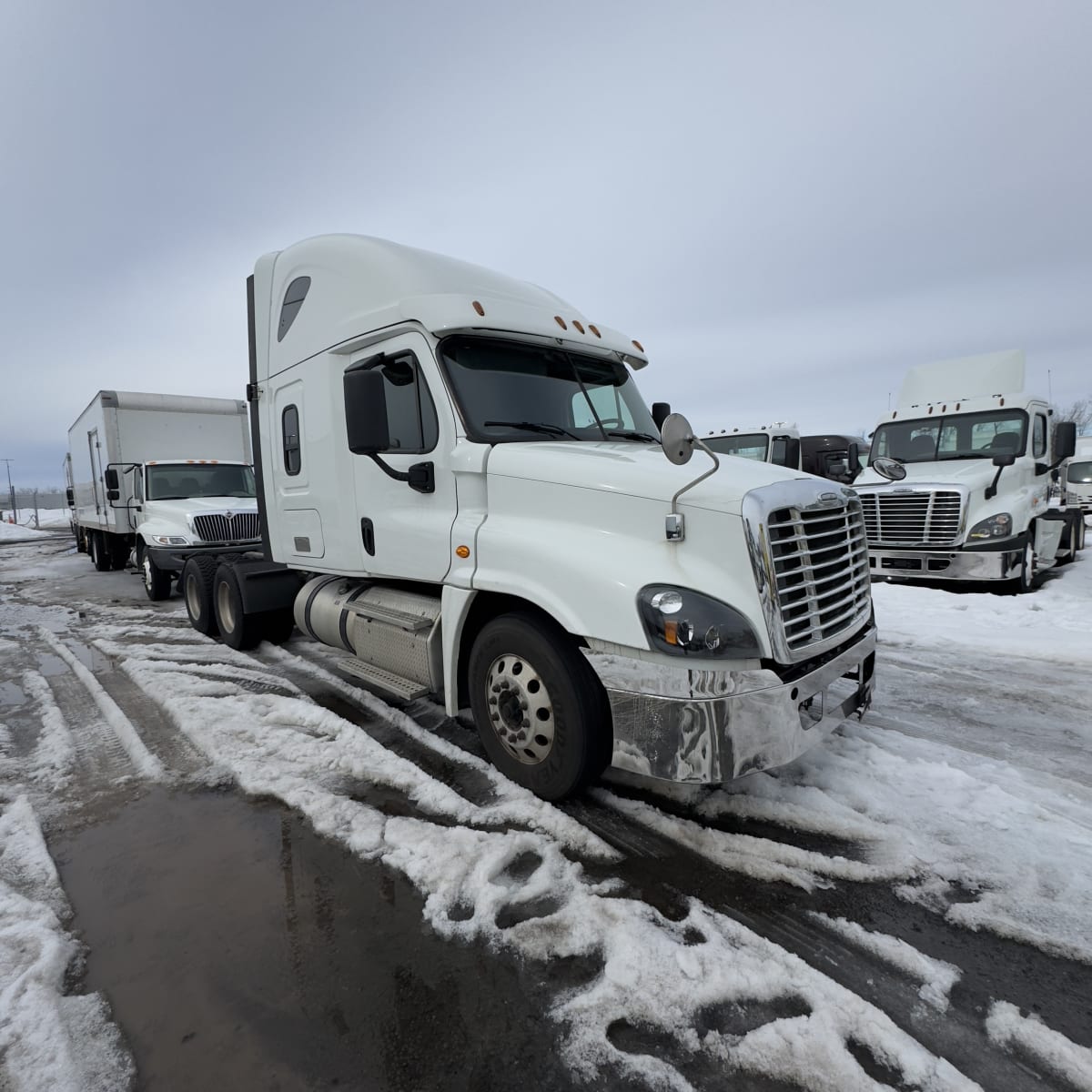 2019 Freightliner - image 3