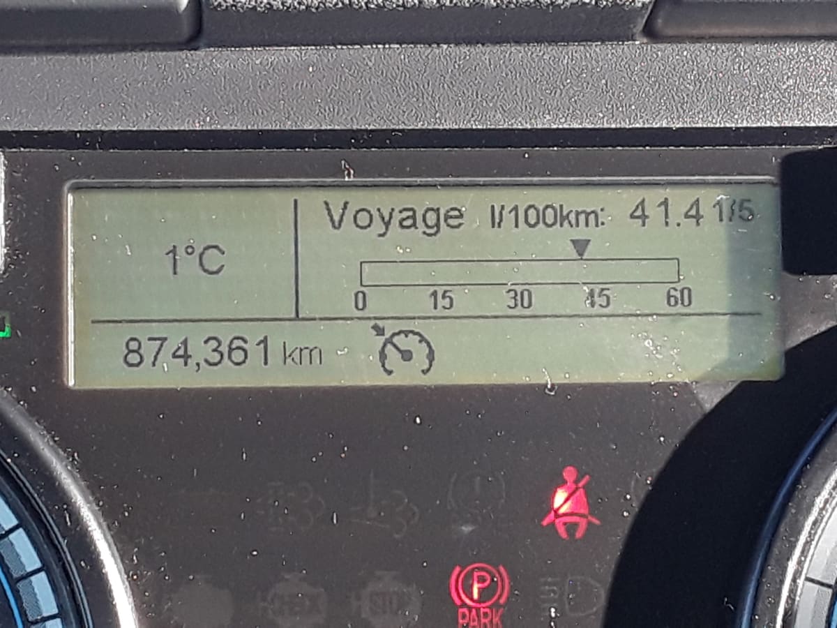 2019 Freightliner/Mercedes CASCADIA 125 866975