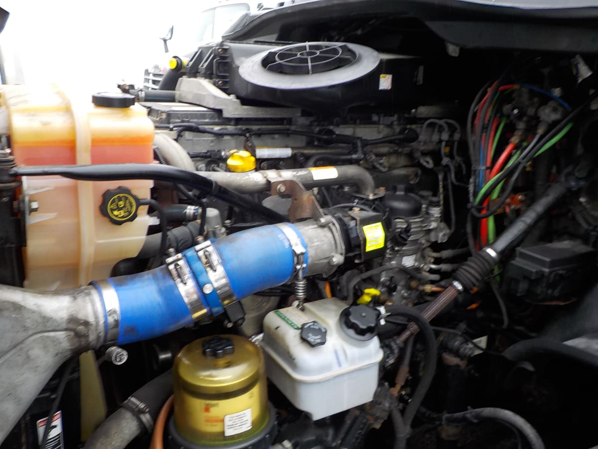 2019 Freightliner/Mercedes CASCADIA 125 866980