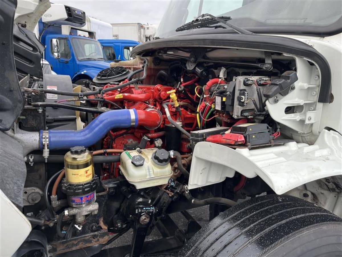 2019 Freightliner/Mercedes M2 106 867039