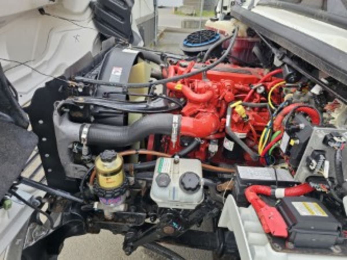 2019 Freightliner/Mercedes M2 106 867064