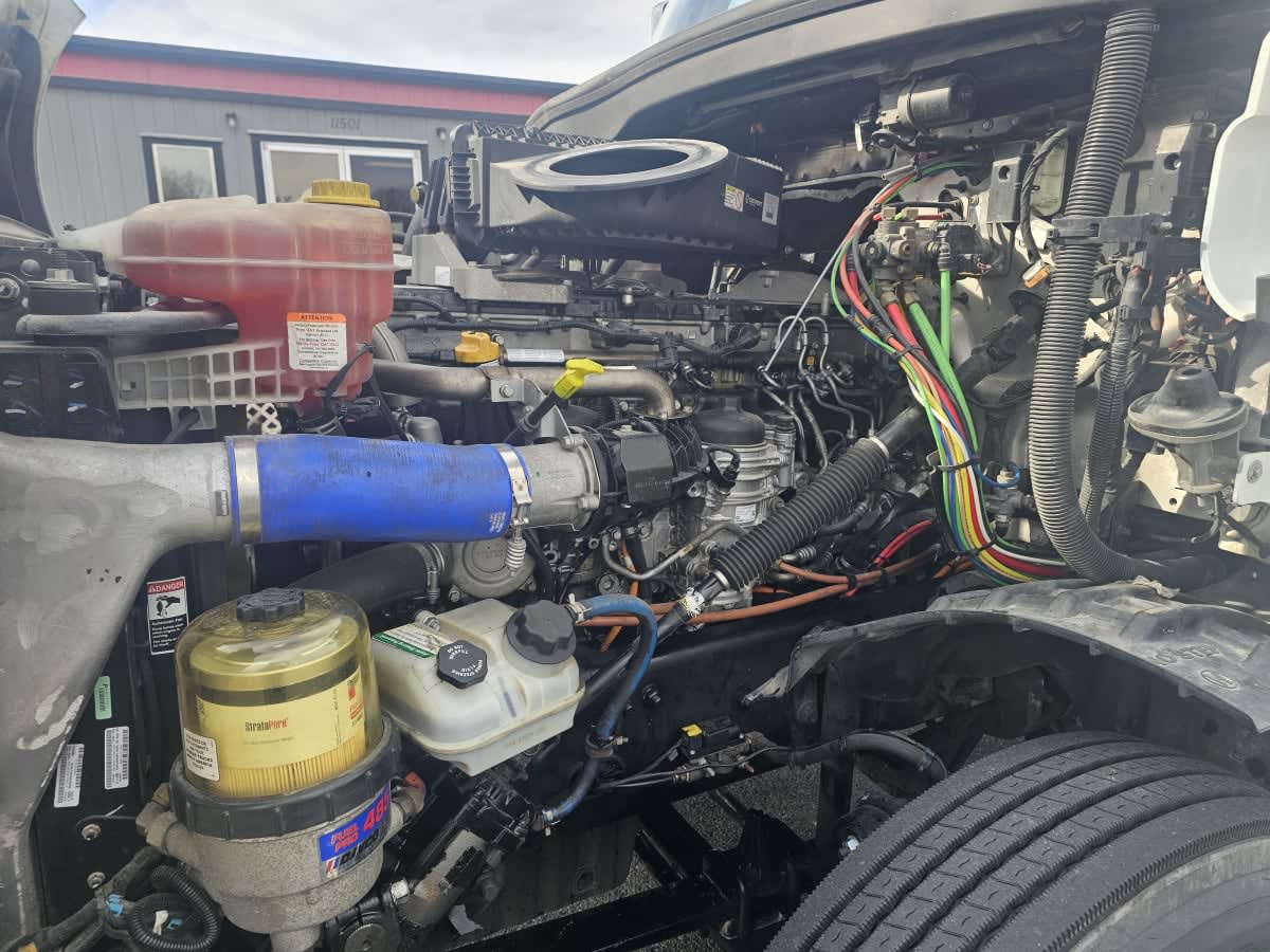 2019 Freightliner - image 8