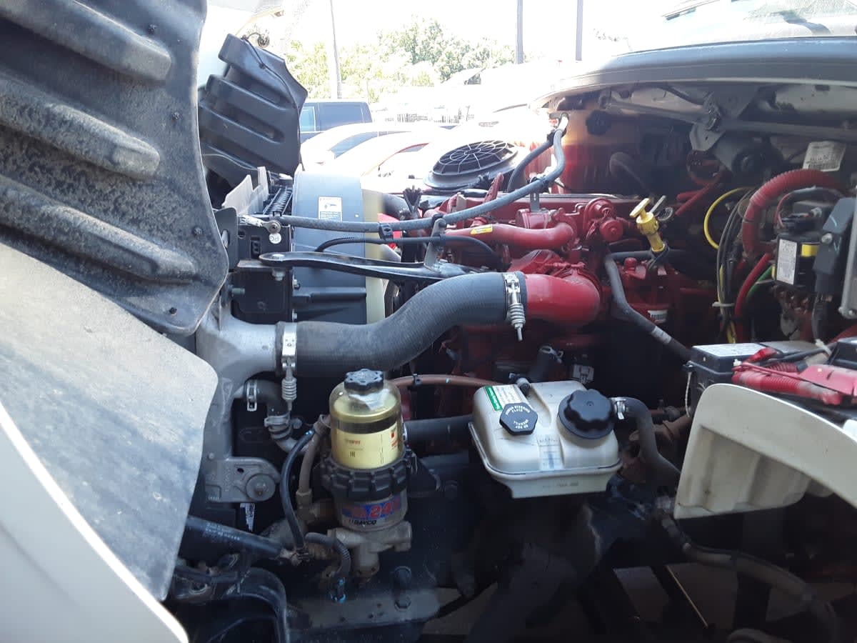 2019 Freightliner/Mercedes M2 106 867480