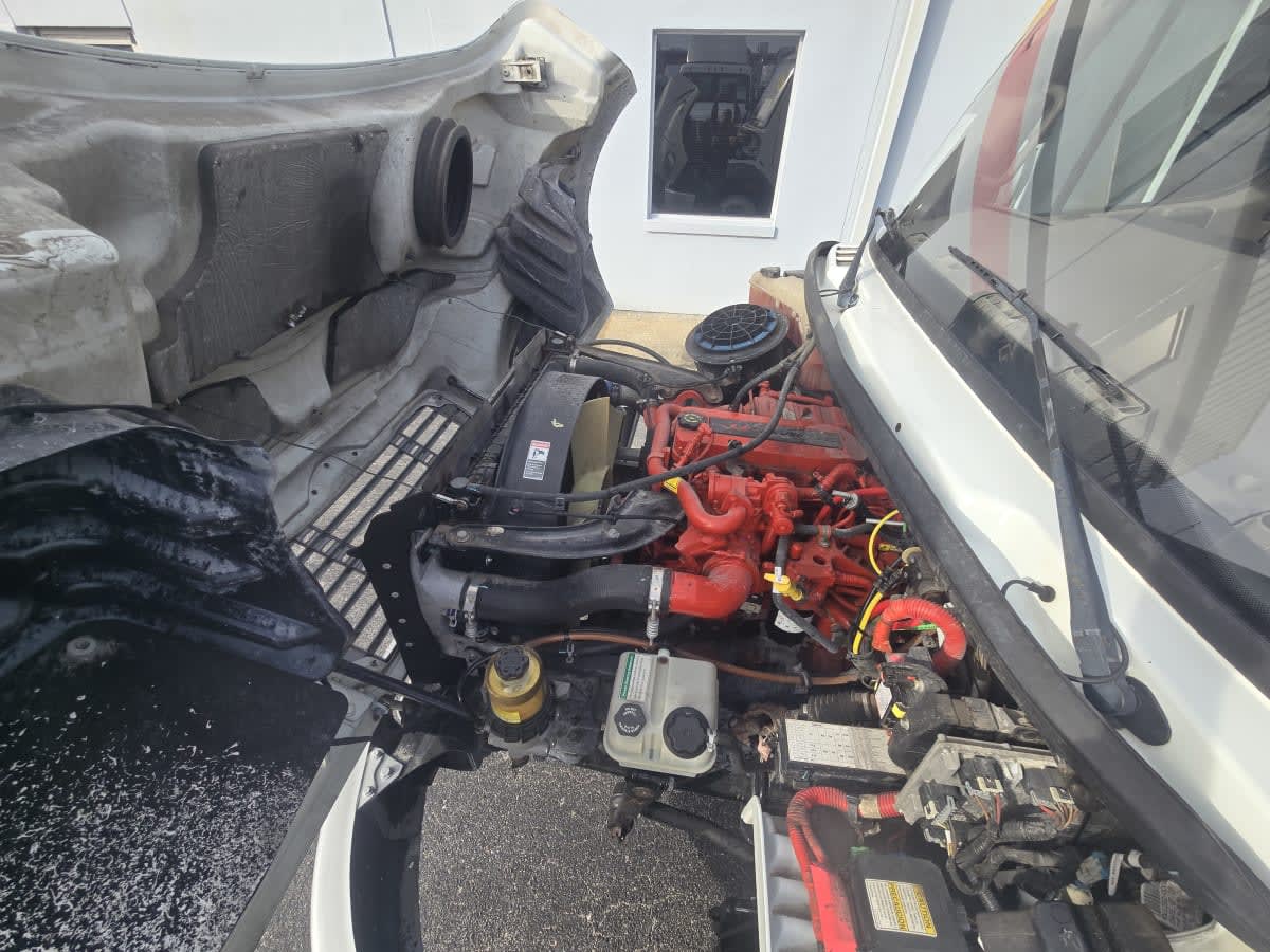 2019 Freightliner/Mercedes M2 106 867535