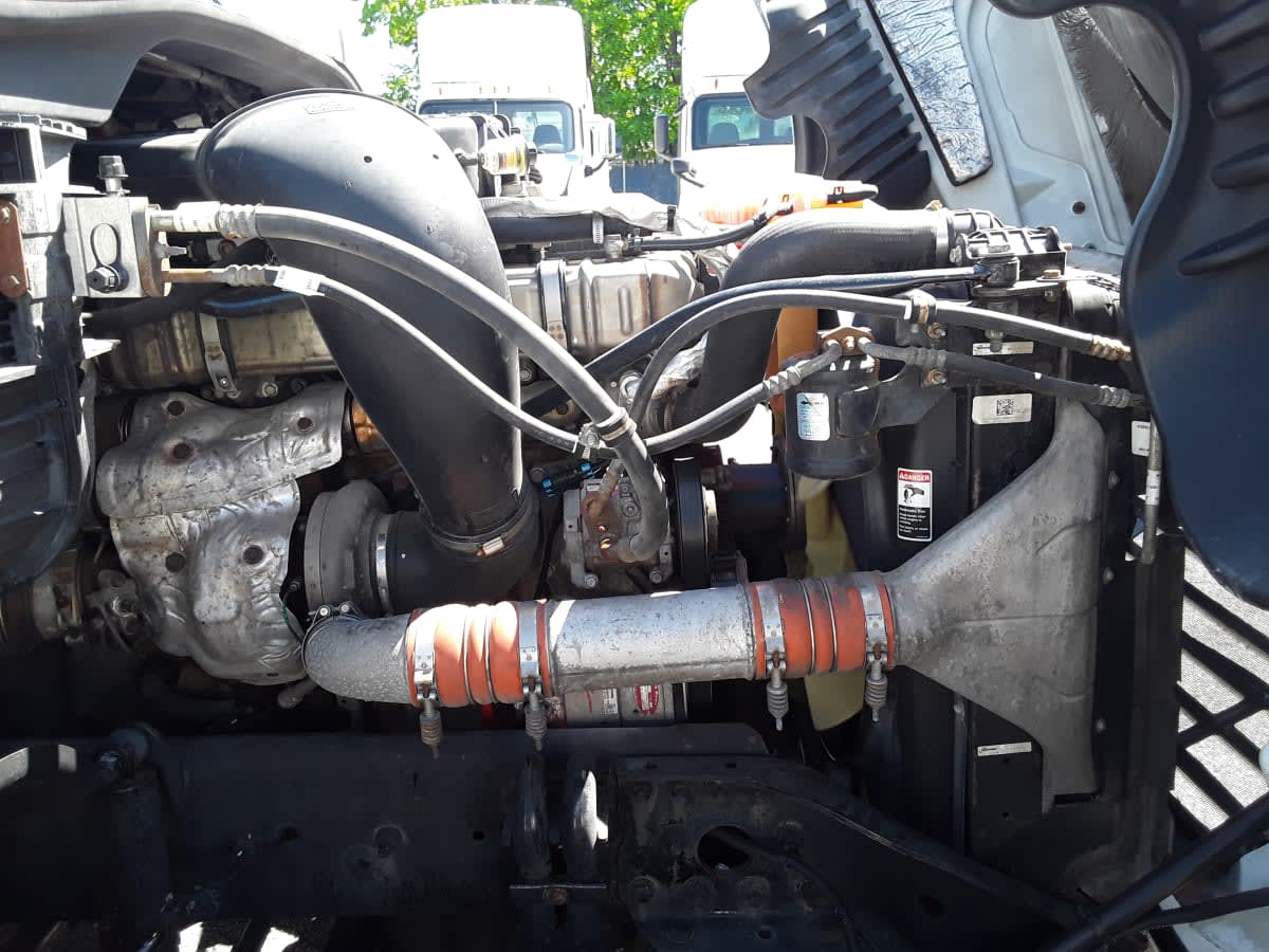 2019 Freightliner/Mercedes CASCADIA 125 867572