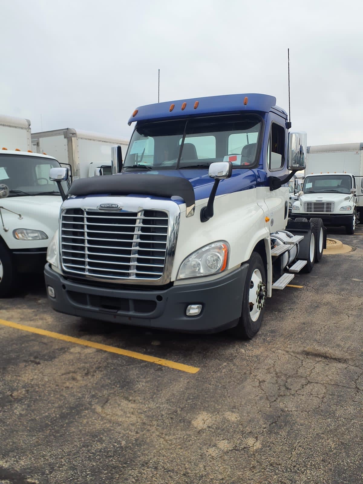 2019 Freightliner/Mercedes CASCADIA 125 867582