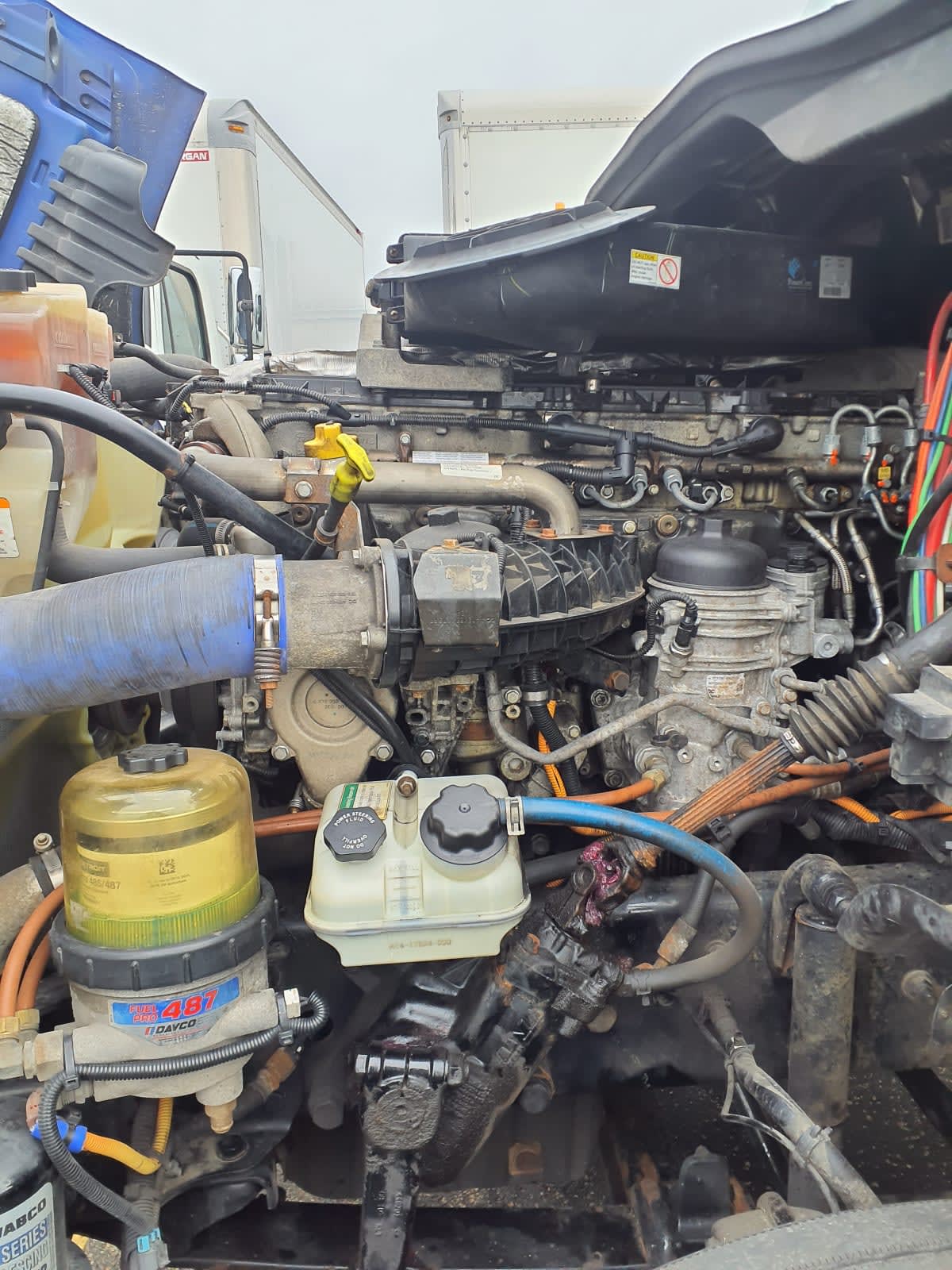 2019 Freightliner/Mercedes CASCADIA 125 867582