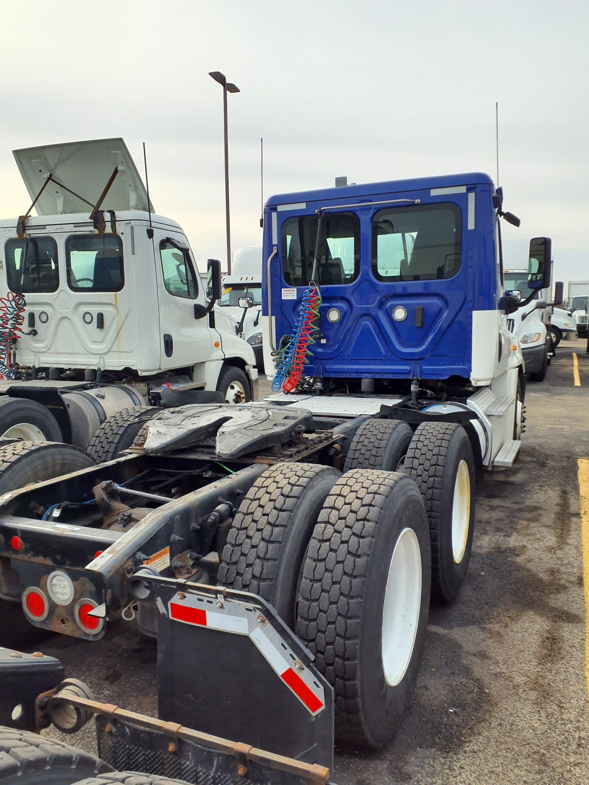 2019 Freightliner/Mercedes CASCADIA 125 867603