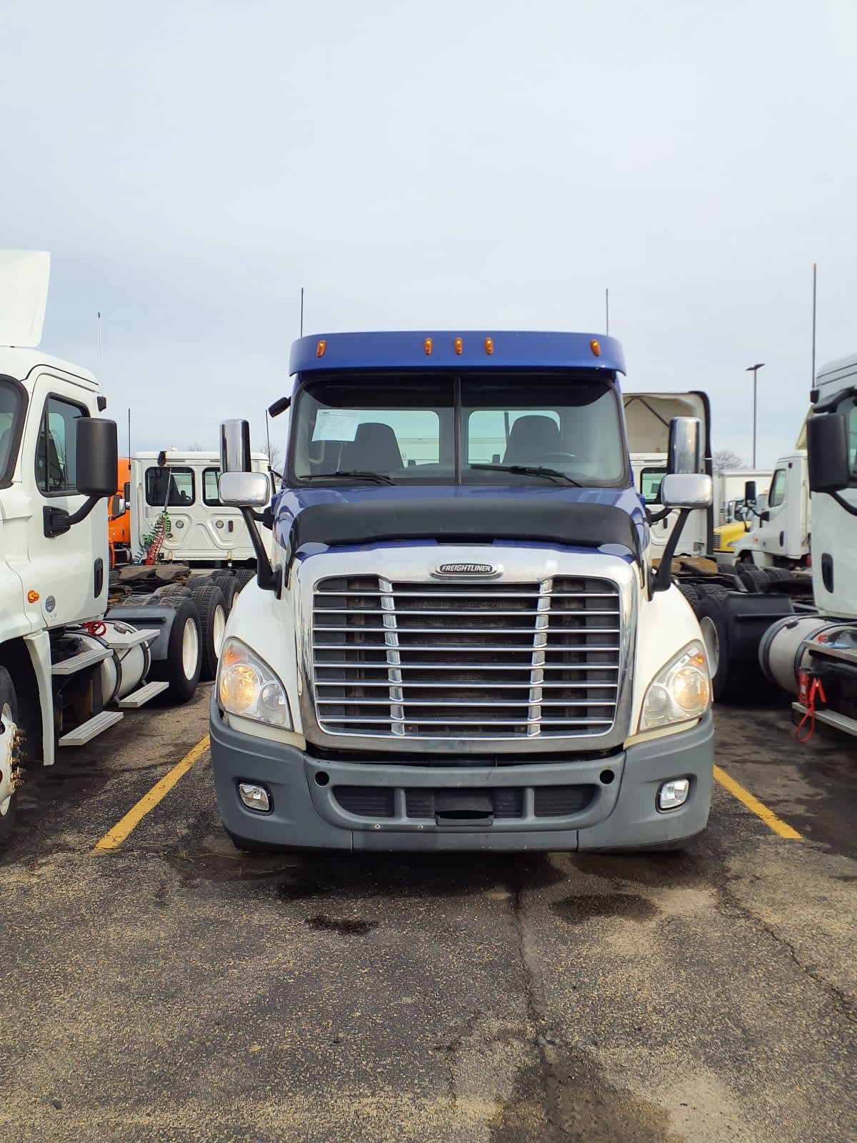 2019 Freightliner/Mercedes CASCADIA 125 867603