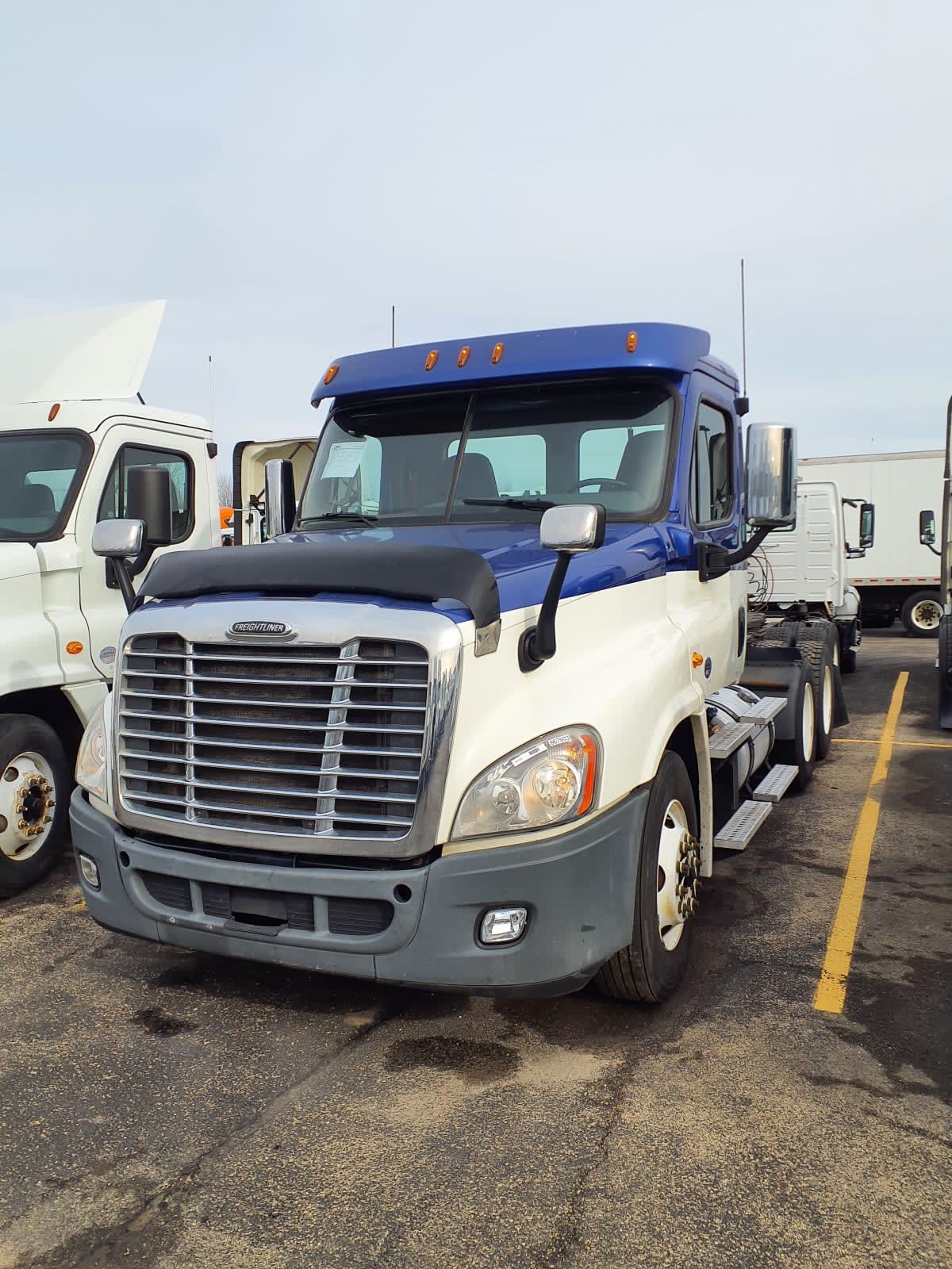 2019 Freightliner/Mercedes CASCADIA 125 867603