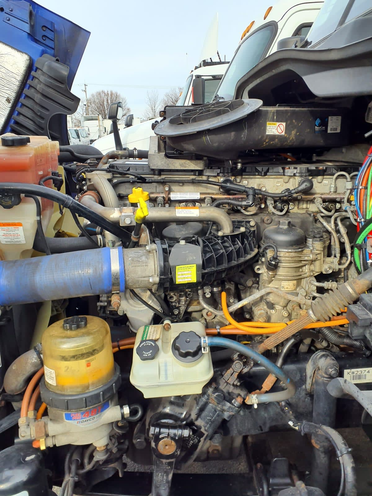 2019 Freightliner/Mercedes CASCADIA 125 867603