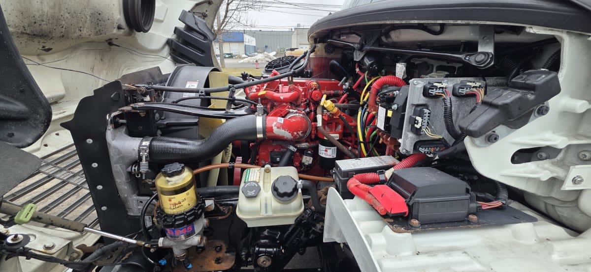 2019 Freightliner/Mercedes M2 106 867647