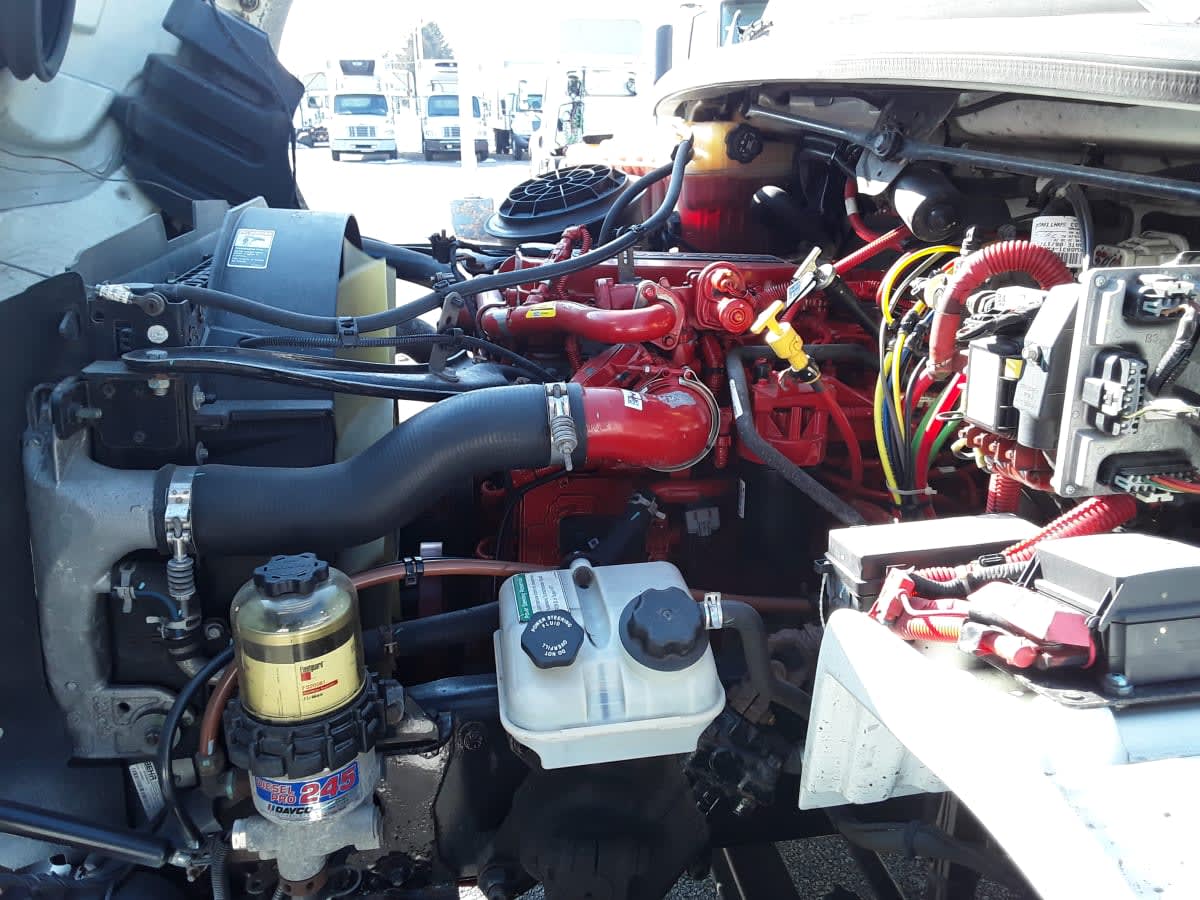 2019 Freightliner/Mercedes M2 106 867951