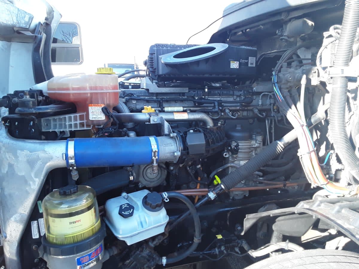 2019 Freightliner/Mercedes NEW CASCADIA PX12664 868161