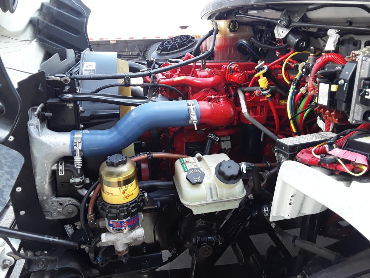 2019 Freightliner/Mercedes M2 106 868183