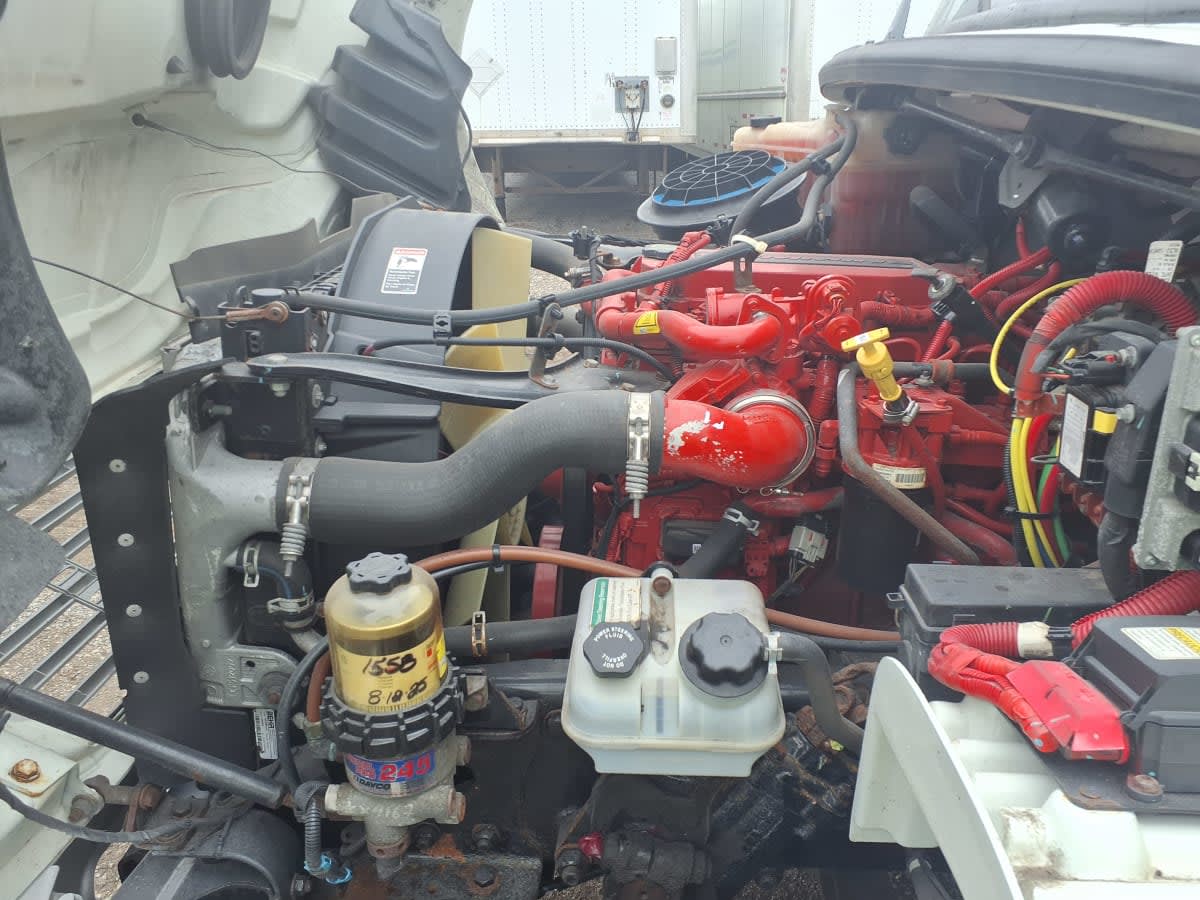 2019 Freightliner/Mercedes M2 106 868890