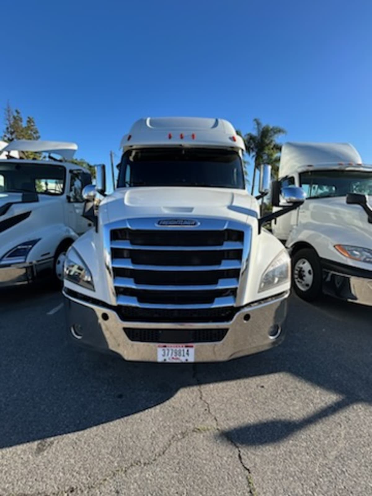 2019 Freightliner - image 2
